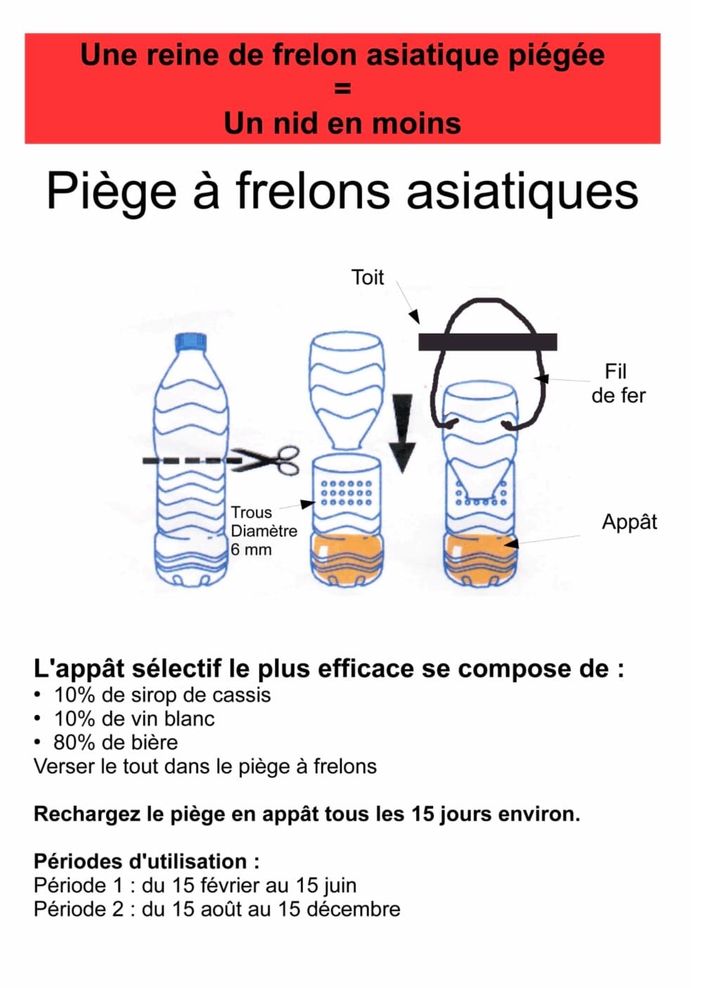 piège frelons