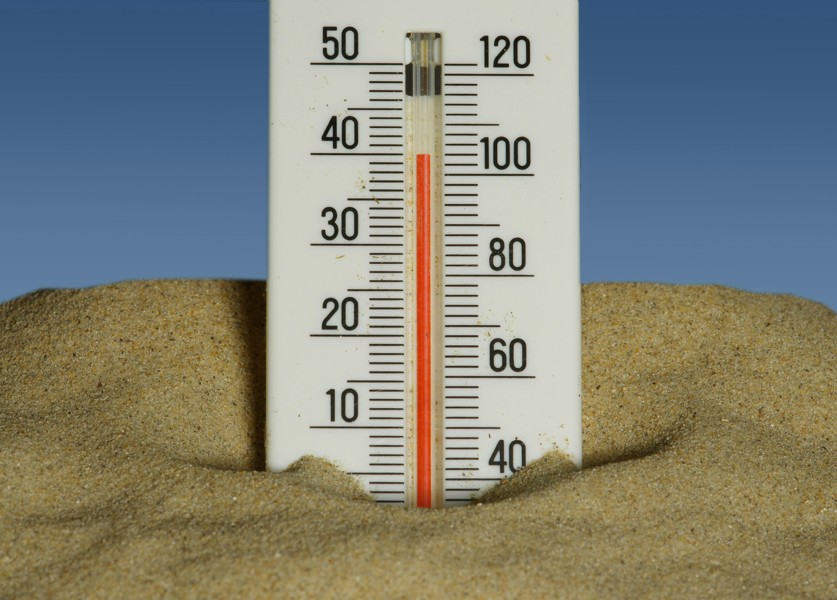 canicule